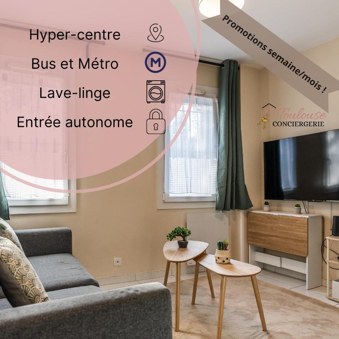L 'emeraude Toulousaine Apartamento *