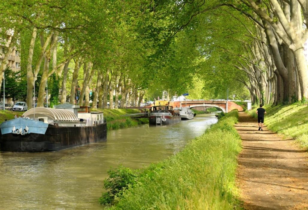 Apartamento L 'emeraude Toulousaine